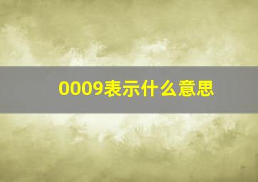 0009表示什么意思