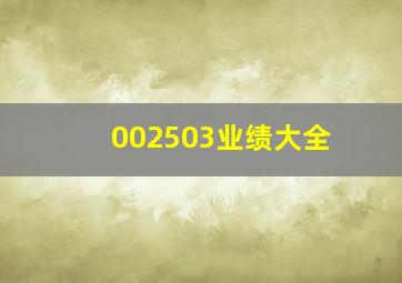 002503业绩大全