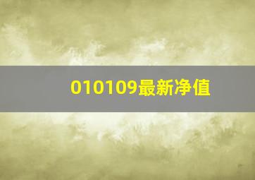 010109最新净值