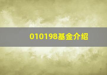 010198基金介绍