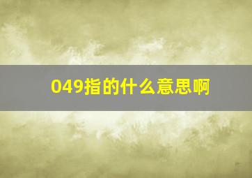 049指的什么意思啊