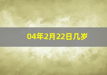 04年2月22日几岁