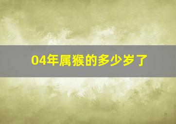 04年属猴的多少岁了