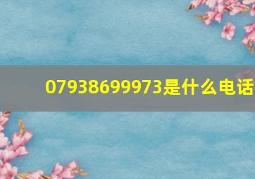 07938699973是什么电话