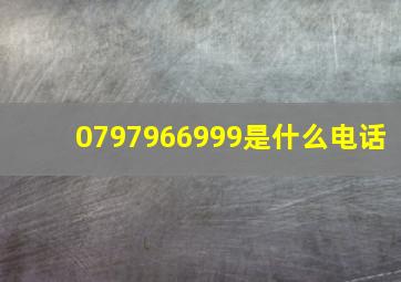 0797966999是什么电话