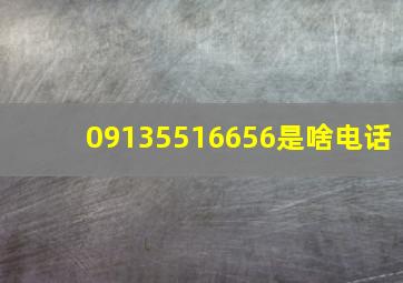 09135516656是啥电话