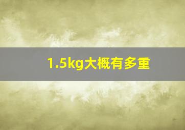 1.5kg大概有多重