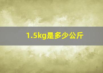 1.5kg是多少公斤