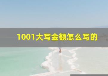 1001大写金额怎么写的