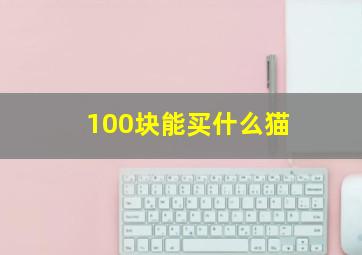 100块能买什么猫