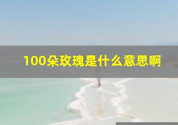 100朵玫瑰是什么意思啊