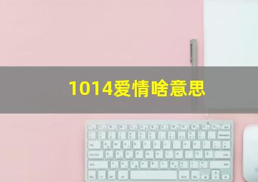 1014爱情啥意思