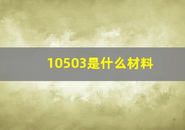 10503是什么材料