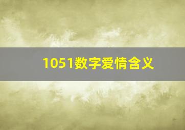 1051数字爱情含义