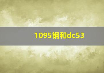 1095钢和dc53