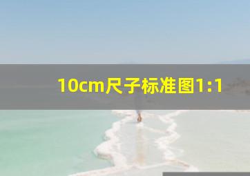 10cm尺子标准图1:1