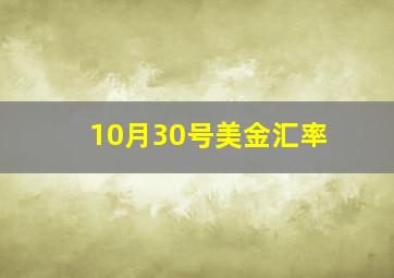 10月30号美金汇率