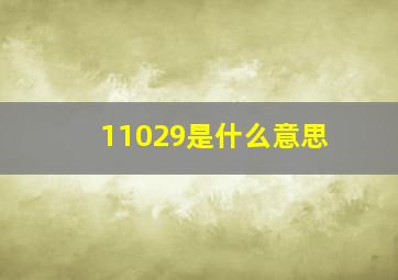 11029是什么意思