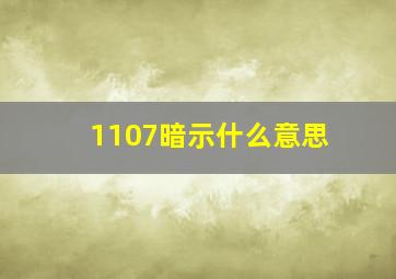 1107暗示什么意思