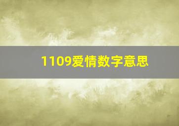 1109爱情数字意思