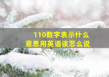 110数字表示什么意思用英语该怎么说