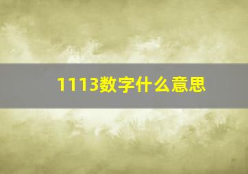 1113数字什么意思