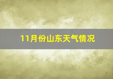 11月份山东天气情况