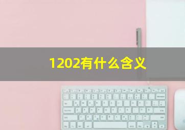 1202有什么含义