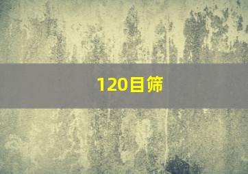 120目筛