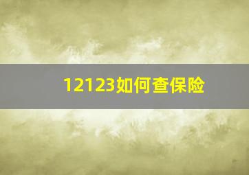 12123如何查保险