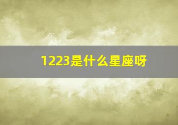 1223是什么星座呀