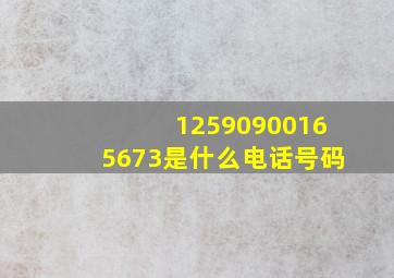 12590900165673是什么电话号码