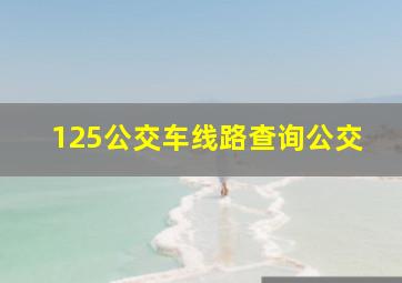 125公交车线路查询公交