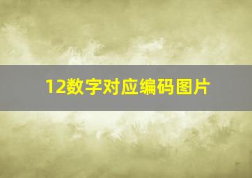 12数字对应编码图片