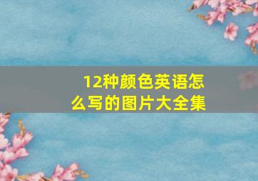 12种颜色英语怎么写的图片大全集