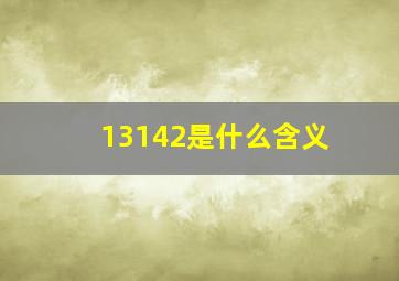 13142是什么含义