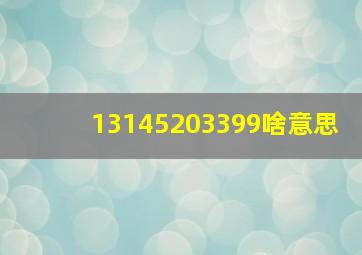 13145203399啥意思