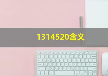 1314520含义