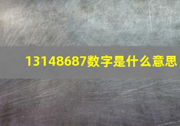 13148687数字是什么意思