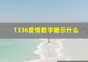 1336爱情数字暗示什么