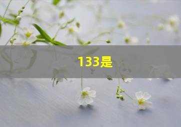 133是