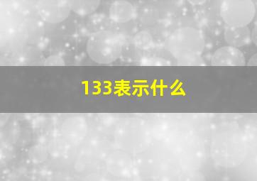 133表示什么