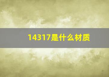 14317是什么材质