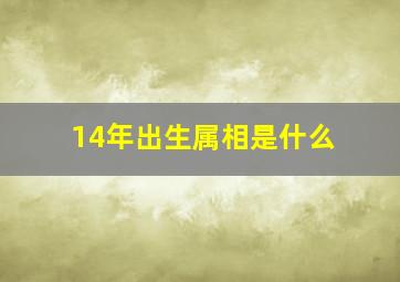 14年出生属相是什么