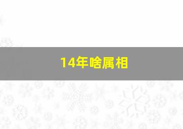 14年啥属相