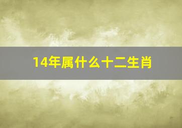 14年属什么十二生肖