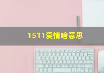 1511爱情啥意思