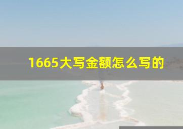 1665大写金额怎么写的