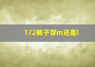 172裤子穿m还是l