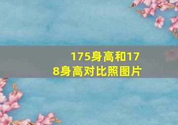 175身高和178身高对比照图片